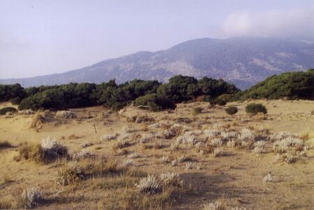 Fig. 9 Investigation area, western coast of Peloponnese