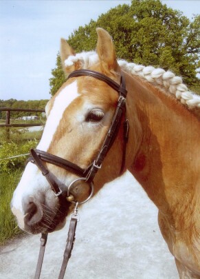 Walzer in summer 2005