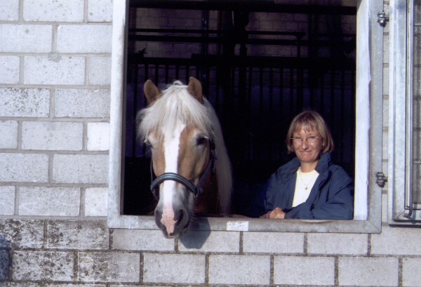  Curious Horse