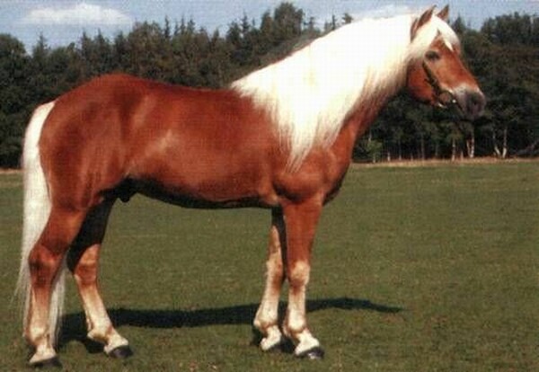 liz suedwind walzers grossvater friederike erlinghagen dipl biologin burgwedel liz suedwind walzers grossvater friederike erlinghagen dipl biologin burgwedel