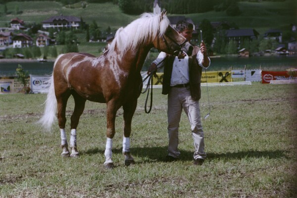 liz wirbelwind vater friederike erlinghagen dipl biologin burgwedel liz wirbelwind vater friederike erlinghagen dipl biologin burgwedel